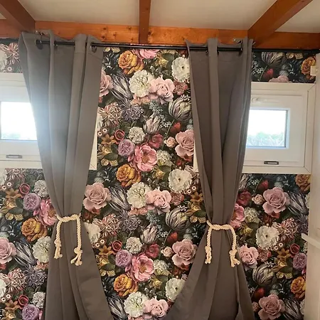 Haus Moony By Interhome Appartement