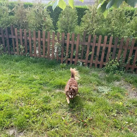 Haus Moony By Interhome * Wervershoof