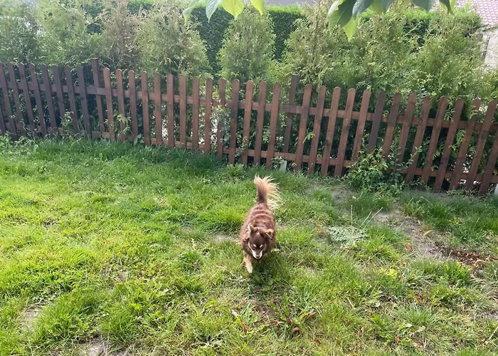 Haus Moony By Interhome * Wervershoof